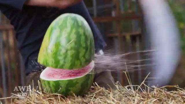 Setajam Tessaiga aslinya.