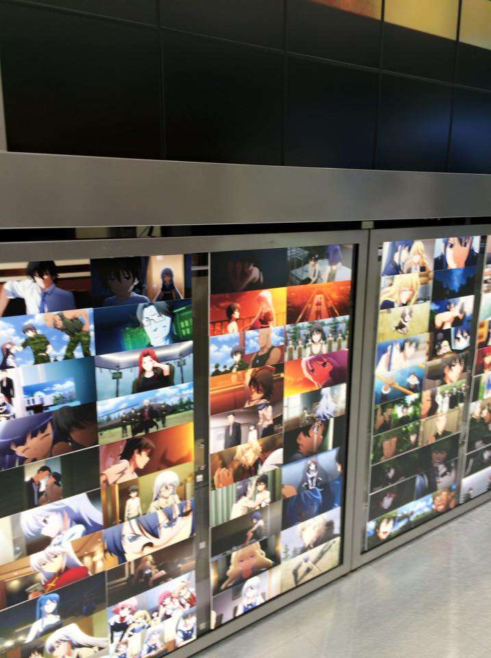 11265559_10204179822483284_7617786980546301359_n