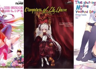 No Game No Life Light Novel Will be Released in Indonesia