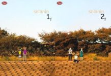 Latest Manga from m&c: Solanin