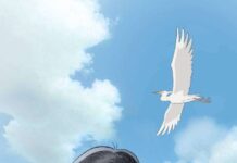 Encore Films Confirm to Bring In this Corner of the World Screening to Indonesia