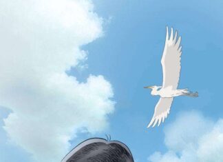 Encore Films Confirm to Bring In this Corner of the World Screening to Indonesia