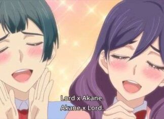 Opinion: Moe from Character Relationships – Asymmetry or Convergence?