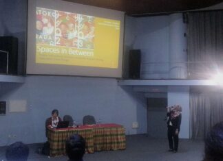 Discussing Intercultural Communication with “Satoko and Nada”: A Japanese Studies Centre Public Lecture