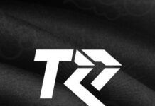 TRADE Enterprise Ceases Their Vtuber Agency Project