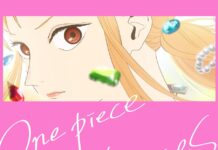 “One Piece: Heroines” Light Novel Gets Anime Adaptation