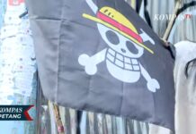 Indonesian Public Officers Denounce Pirate Flag from “One Piece” as “Threat to National Unity”