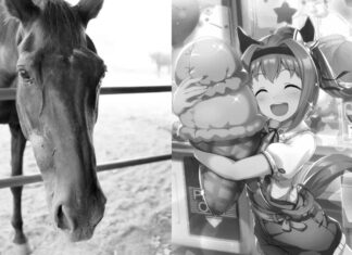 Haru Urara, Japan’s Beloved Racehorse that Inspire a Character in “Uma Musume”, Passes Away