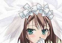 “Hideyoshi Adalah Istriku”