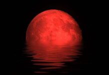 The Power of Love: Red Moon