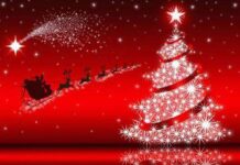 Karya Orisinal Seniman Kaori – Pink Christmas