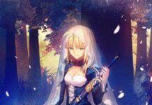 Novel Terbaru Fate/Stay Night Akan Dirilis