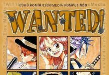 Wanted!: Karya Debut Penulis One Piece Diterbitkan Elex Media