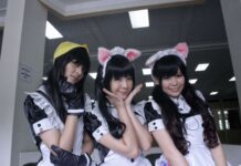 Makan dan Bermain Bersama Neko Mimi Maid Cafe