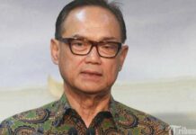 Sembari Kembangkan Investasi di Indonesia, Jepang Diminta Tak Pelit Dalam Hal Alih Teknologi