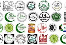 Pengusaha di Jepang Anggap Sertifikasi Halal Ibarat Alat Sihir