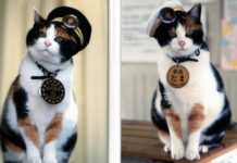 Tama, Kepala Stasiun Kishi Meninggal Dunia