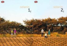 Komik Solanin Karya Inio Asano Diterbitkan oleh m&c!