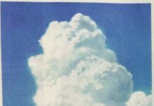 She and Her Cat: Anime Pendek Lawas Karya Makoto Shinkai Hadir Kembali