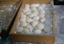 Surabaya Nihon Matsuri 2 : Mochi dan Takoyaki