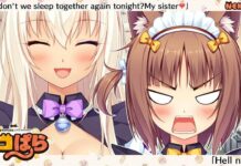 Ulasan Novel Visual: Nekopara Vol.2