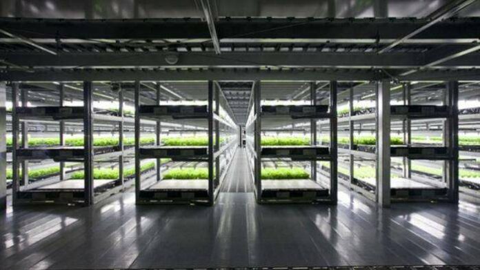 robot-jepang-nih4_20160202_152915