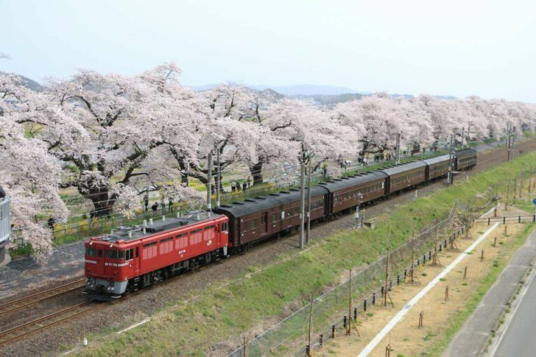 Foto oleh: 鈴木和恵