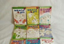 Elex Media Menerbitkan Ulang Miracle Girls