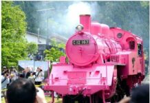 Lokomotif Uap Warna Pink Ramaikan Gelaran “Golden Week”