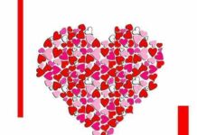 Donasi Unik Untuk Kumamoto: Love Booth di Ennichisai 2016