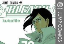 Akhirnya: Bleach akan Berakhir Juga?