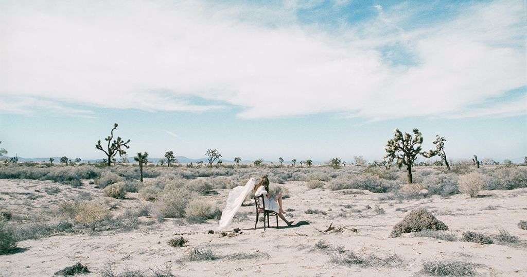 aimer-daydream-cover