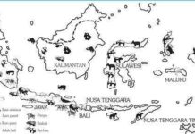 Menanggapi Tren Kemono Friends, KAORI Nusantara Hadirkan Rubrik Satwa Nusantara