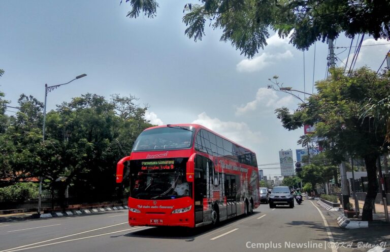 Bus wisata