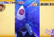 Beginilah Isi Rumah Eiichiro Oda Sang Kreator One Piece! Di WC ada Hiunya!