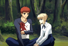 Jajak Pendapat Ringan Internal – Seri Anime TV Fate