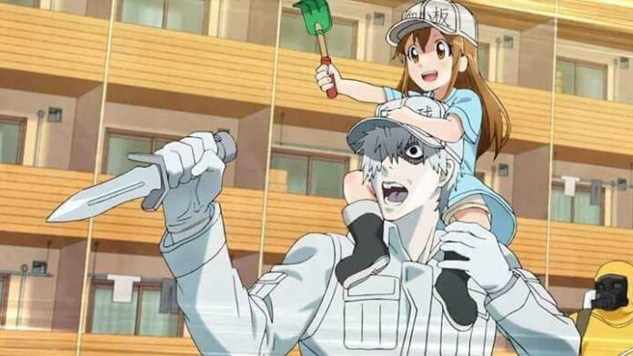 hataraku saibou cells at work