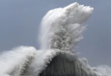 Jepang Dilanda Topan Jebi, Terbesar dalam 25 Tahun