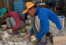 tenaga kerja asing di jepang kehidupan di jepang