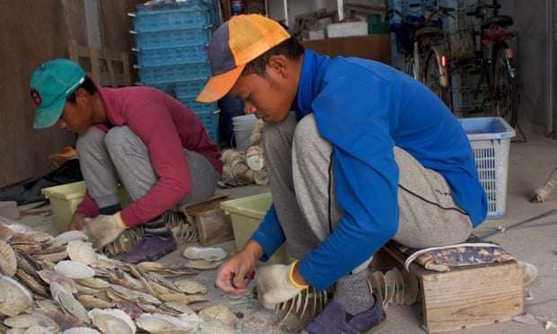 tenaga kerja asing tenaga kerja asing di jepang kehidupan di jepang