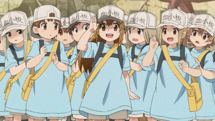 hataraku saibou cells at work