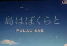 Ulasan Novel Pulau Sae: Sebuah Kritik Masyarakat Dalam Balutan Novel Remaja
