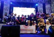 Daisuki Japan Festival 2019