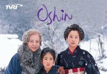 Catat! Ini Tanggal Kembalinya Oshin ke TVRI!