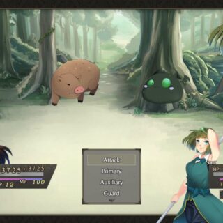 insurgence second assault