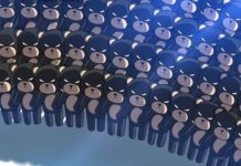 pandaclip: the black thief