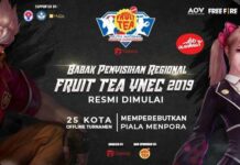Babak Penyisihan Regional Fruit Tea YNEC 2019 Resmi Dimulai Fruit Tea Youth National Esports Championship 2019