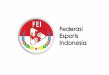 Federasi Esports Indonesia, Lembaga Independen yang Berkomitmen Wujudkan Standarisasi pada Ekosistem Esports Indonesia Telah Diresmikan fei