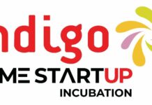 Indigo Game Startup Incubation