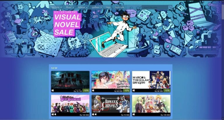 steam visual novel sale